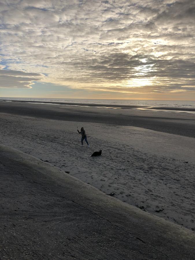 Villa Fernley De Panne Eksteriør billede