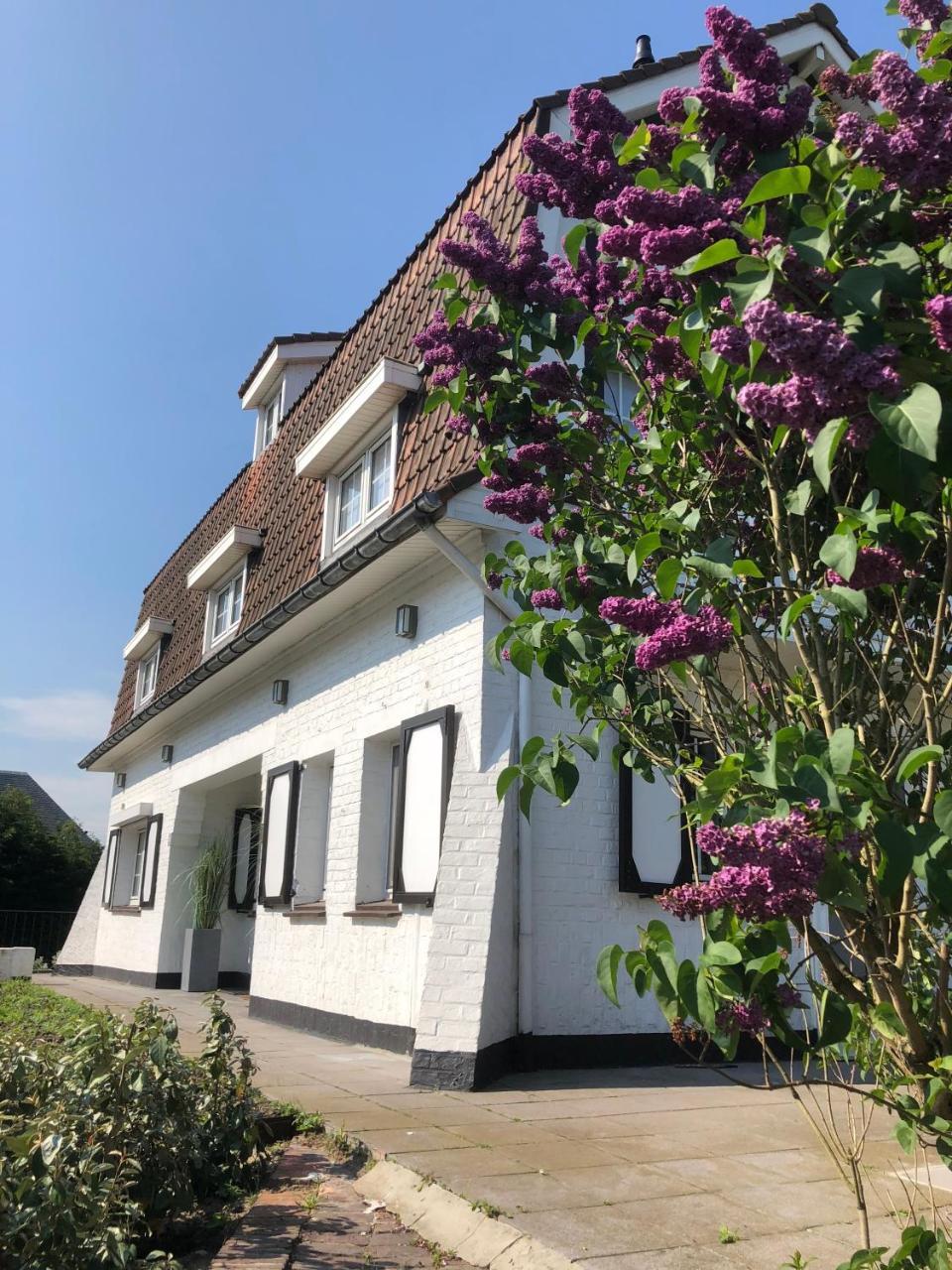 Villa Fernley De Panne Eksteriør billede